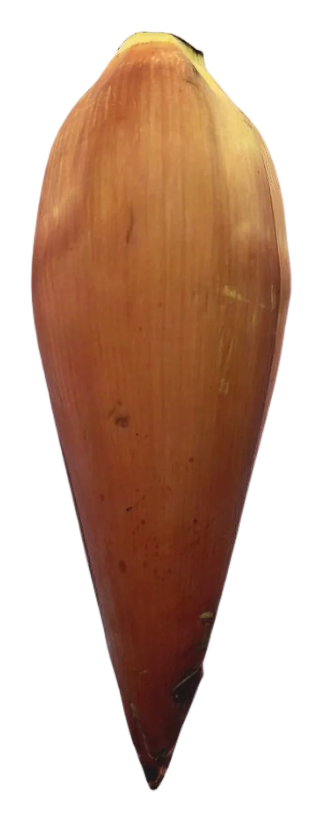 Banana flower kg