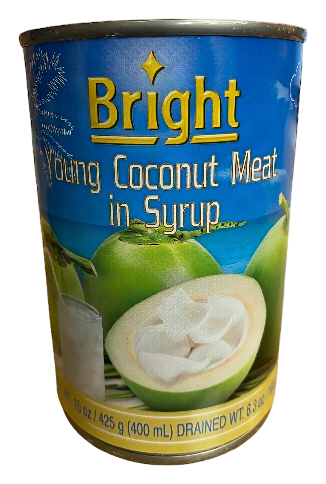 Bright Coconut in syrup 24x425g TH