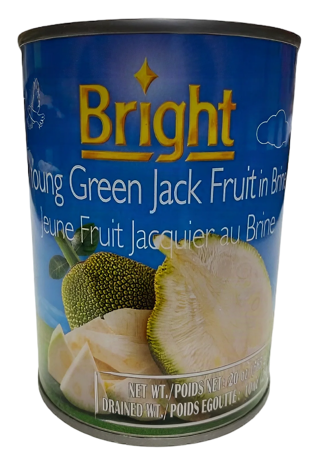 Bright green jackfruit in brine 24x565g TH