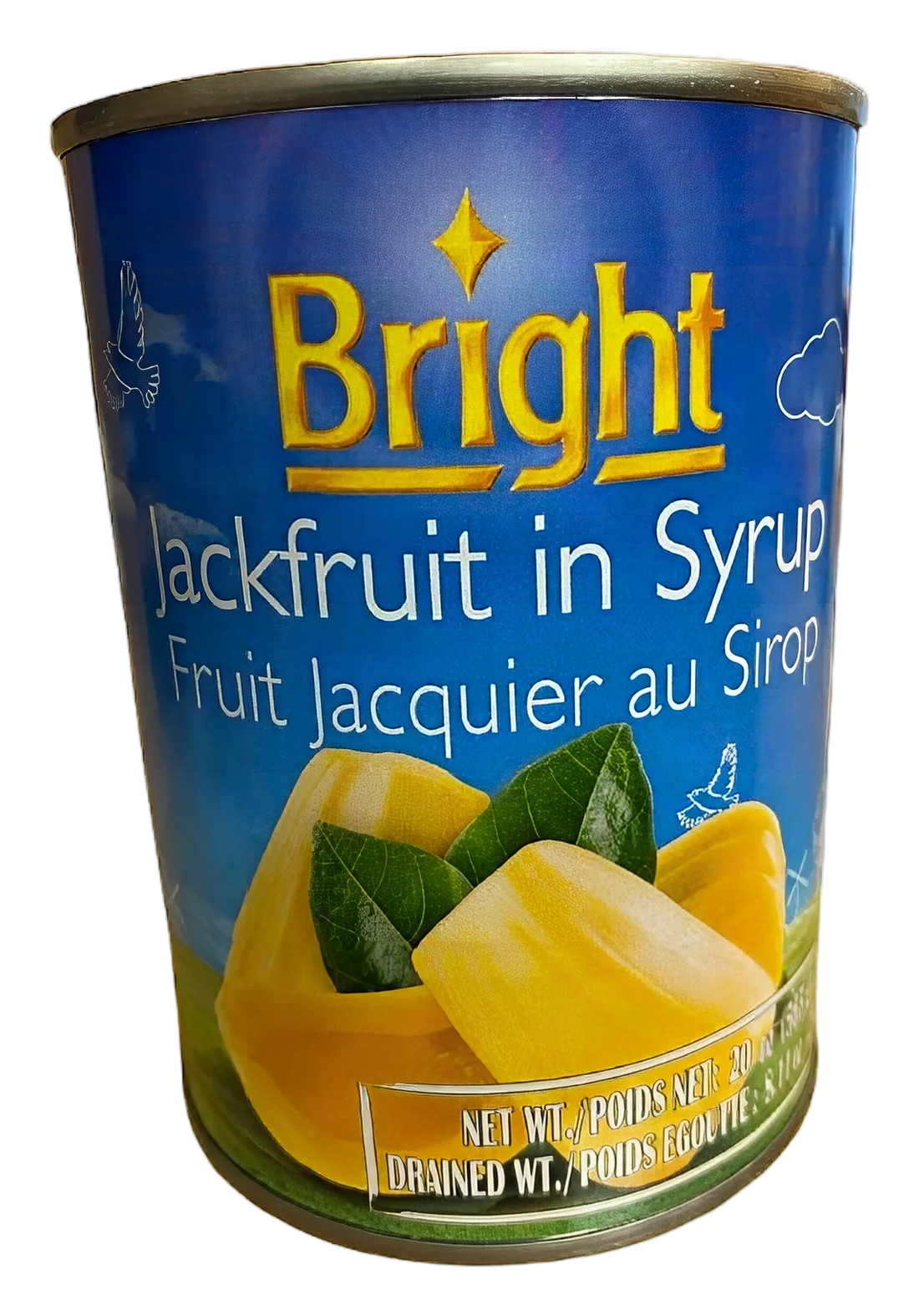 Bright Jackfruit in syrup 24x565g TH