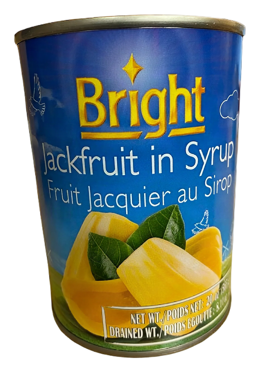Bright Jackfruit in syrup 24x565g TH