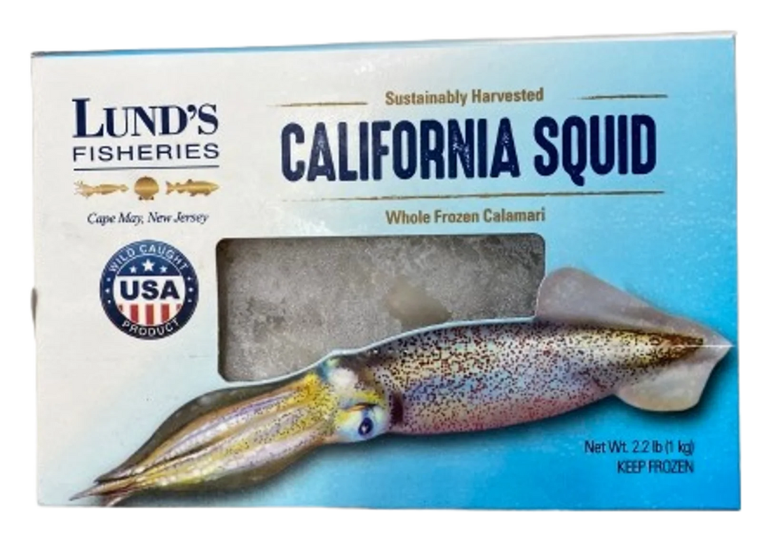 Calamari Squid California USA 12x1kg