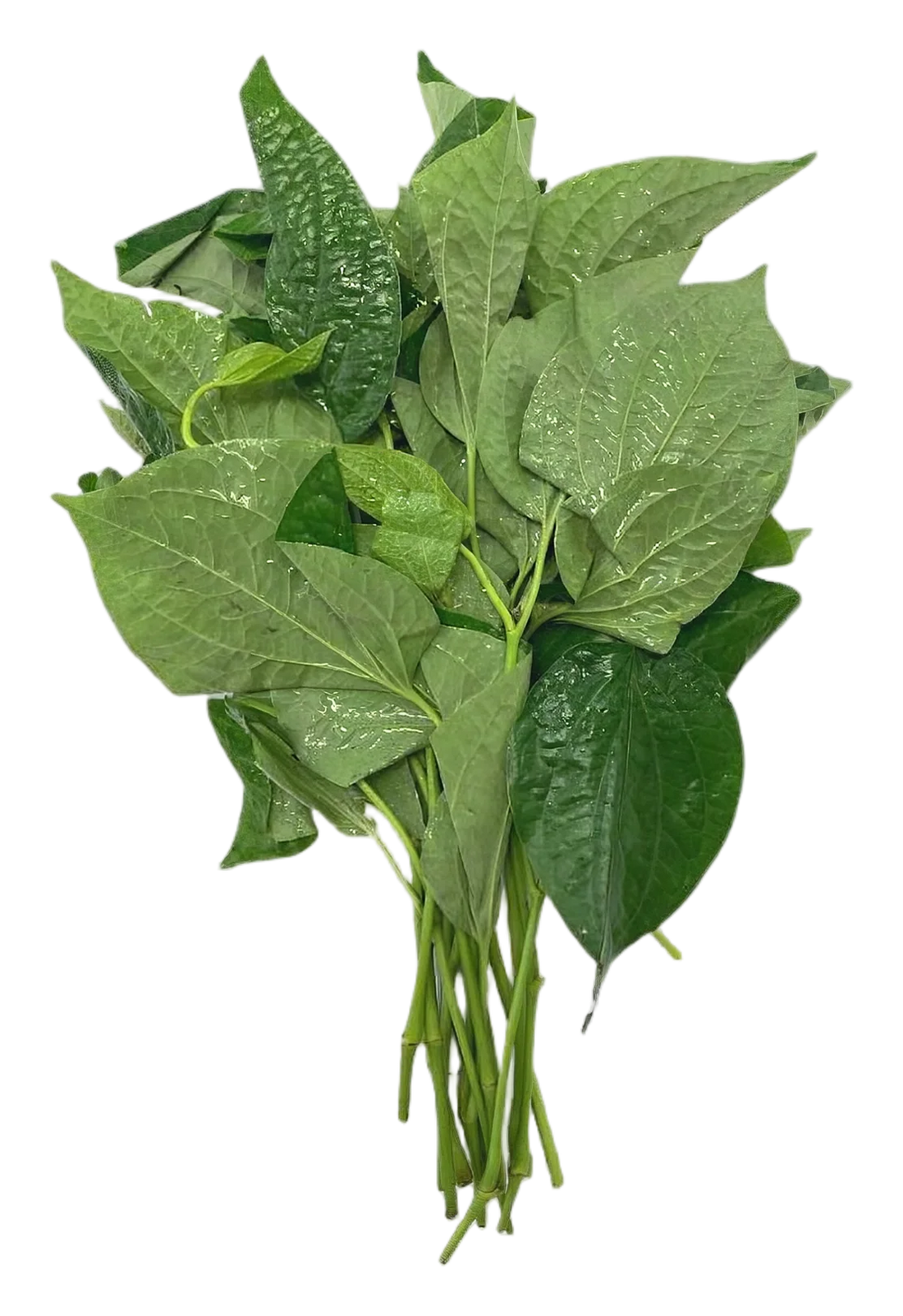 Cha phlu leaf 80g