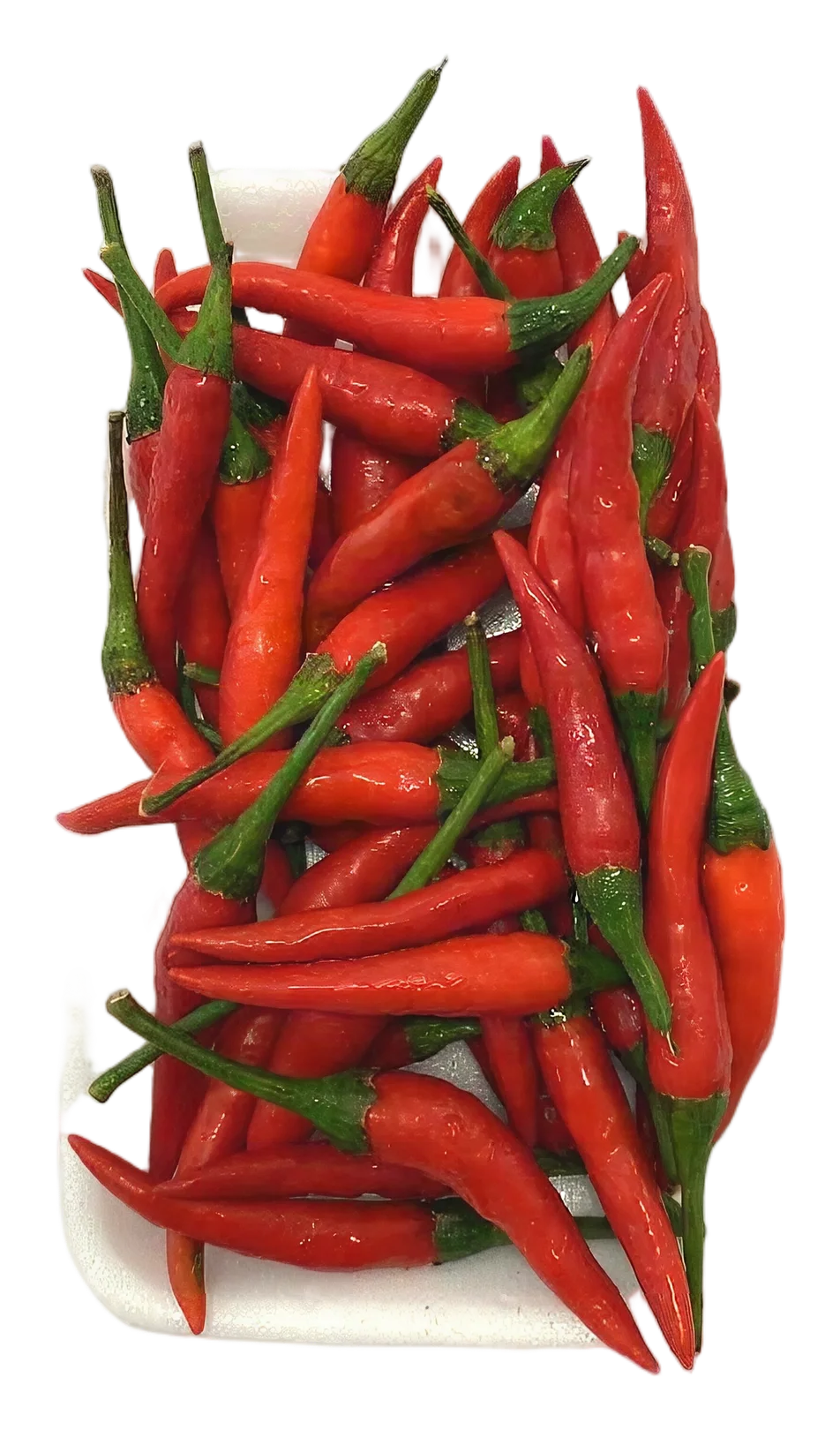 Chili red small 80g