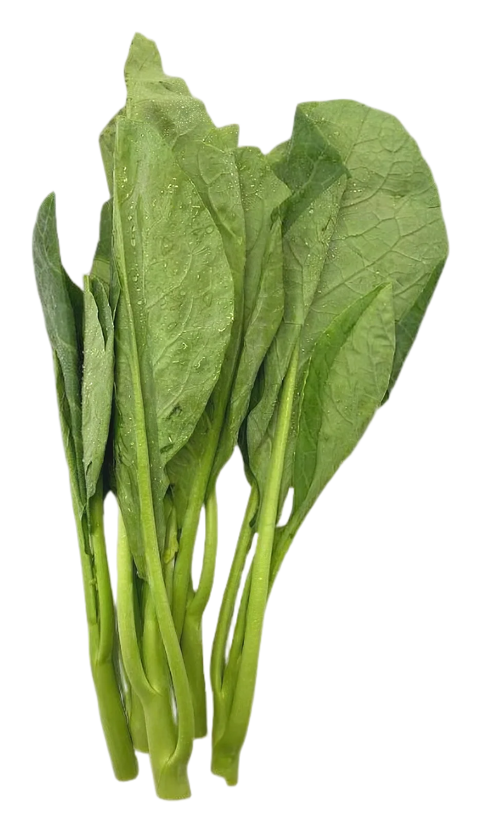 Chinese kale 200g
