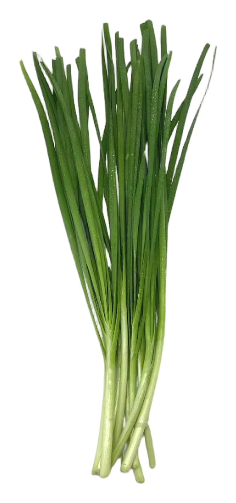 Chinese leek 80g