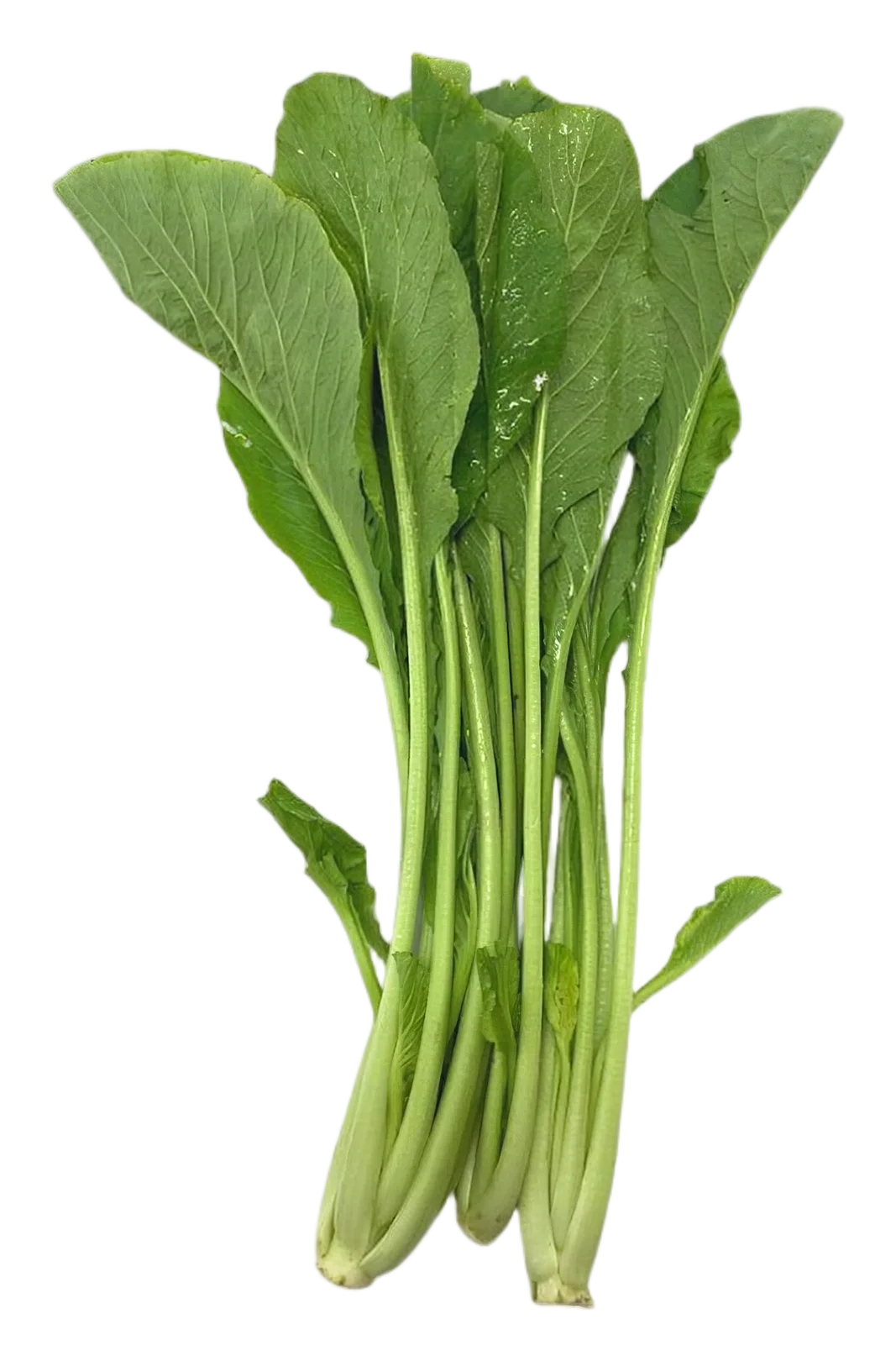 Choisam/cai ngot 200g