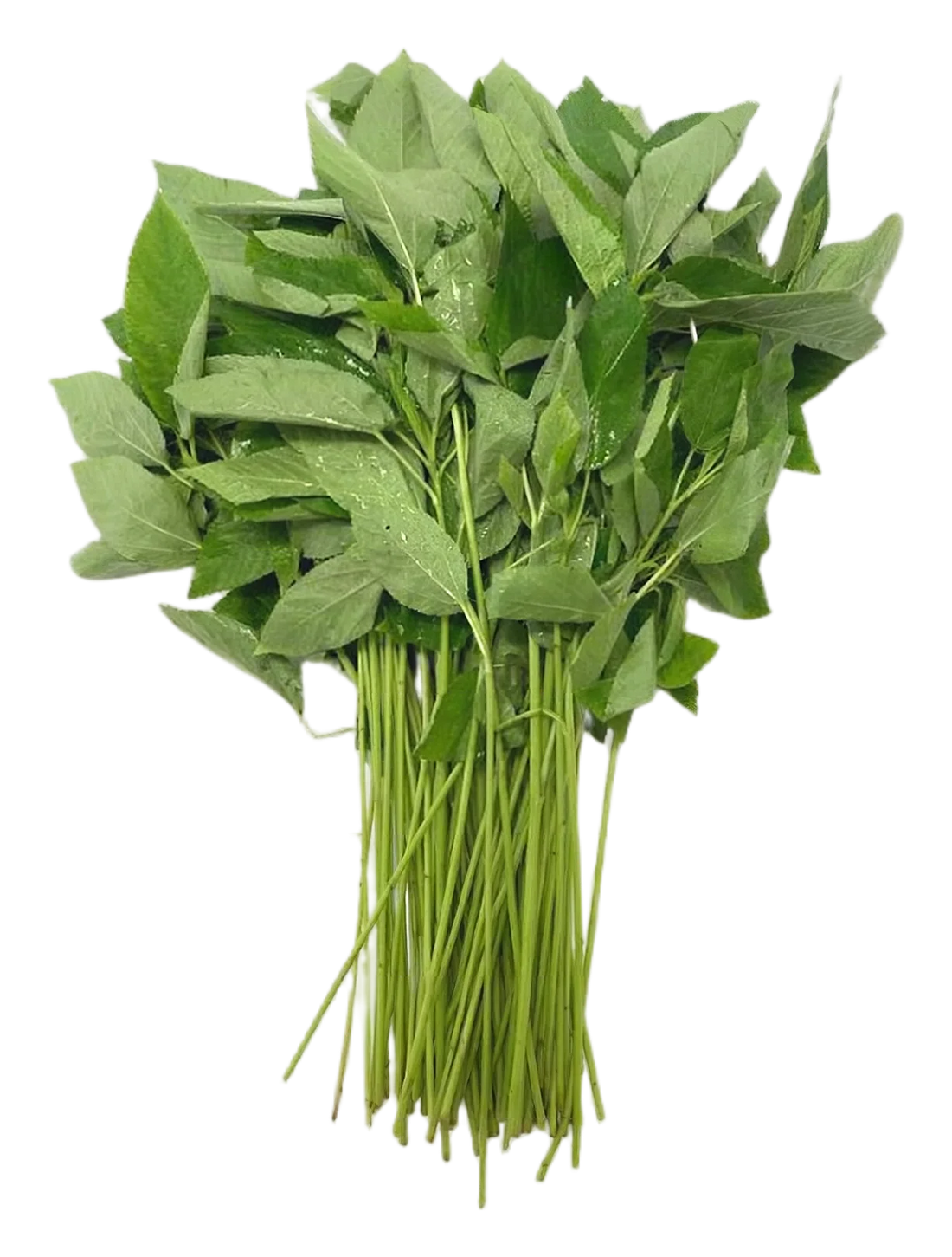 Corchorus/rau day 200g