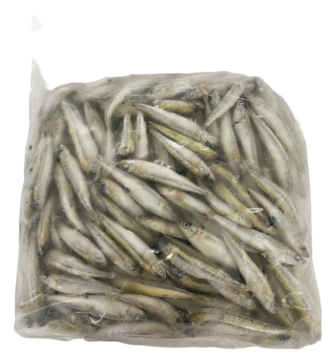 Dayseaday Sand Smelt fish10x1kg TR