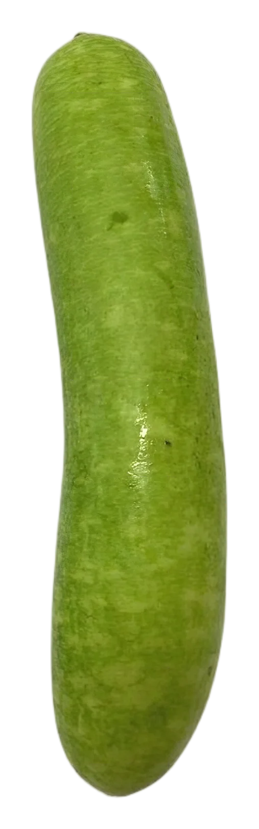Dudi/trai bau kg
