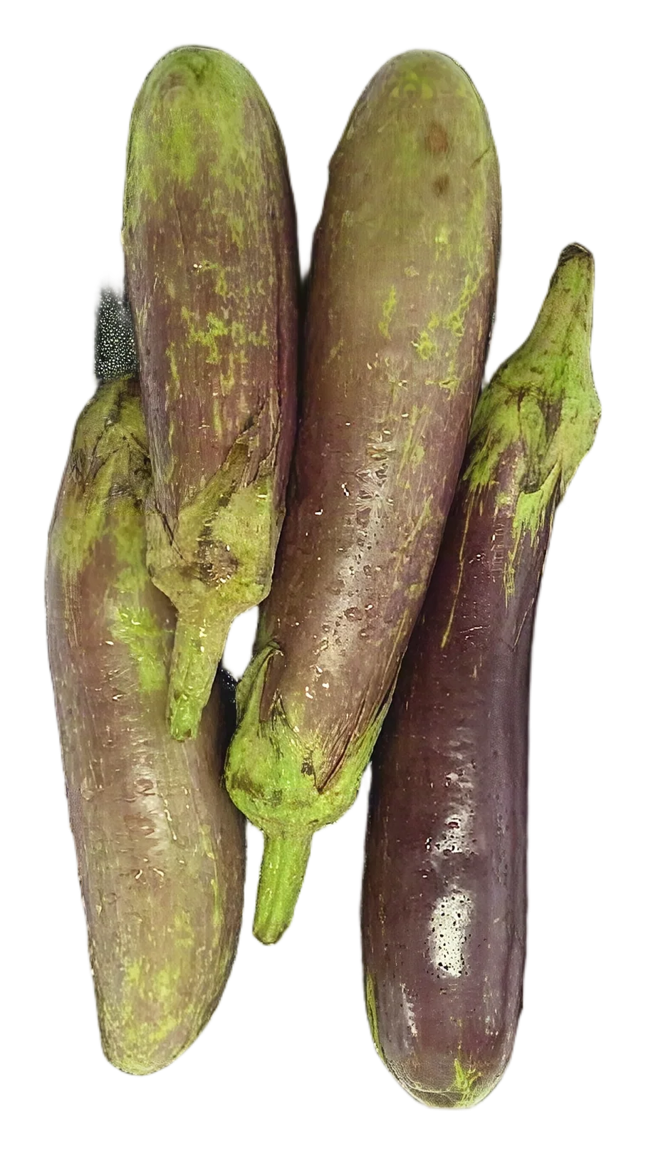 Egg plant purple 200g