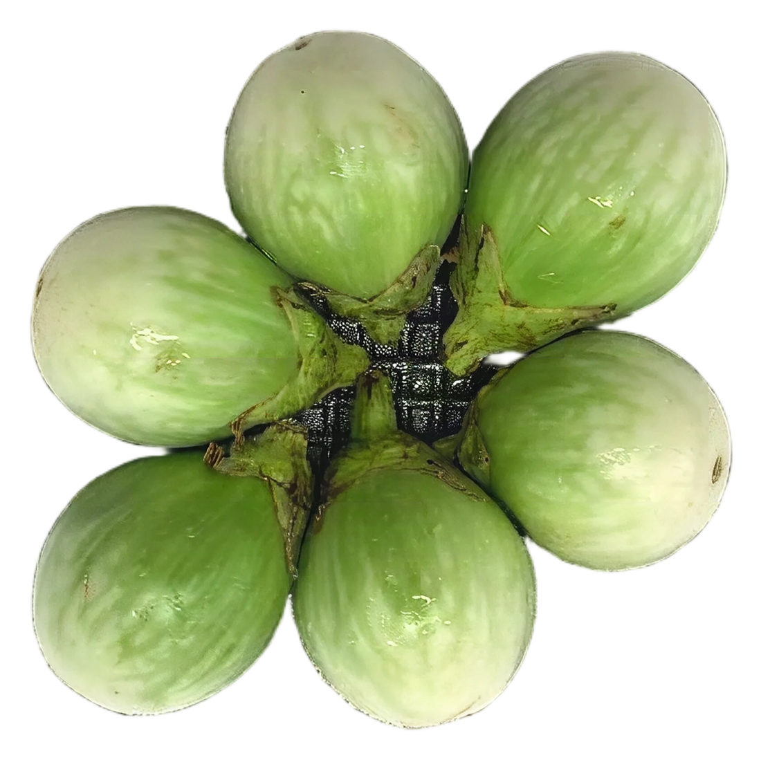 Egg plant round 200g