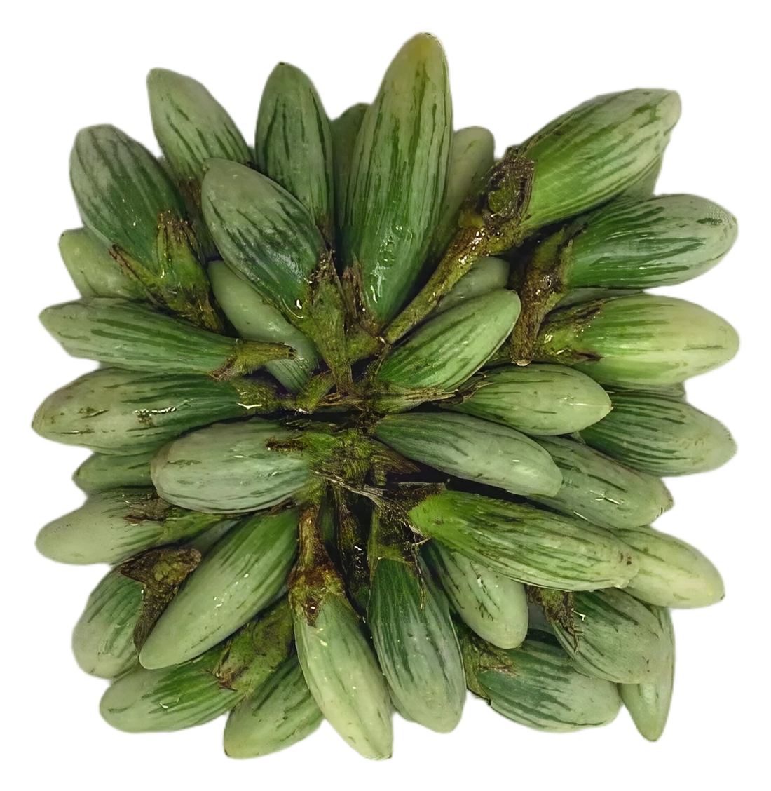 Egg plant strip 200g