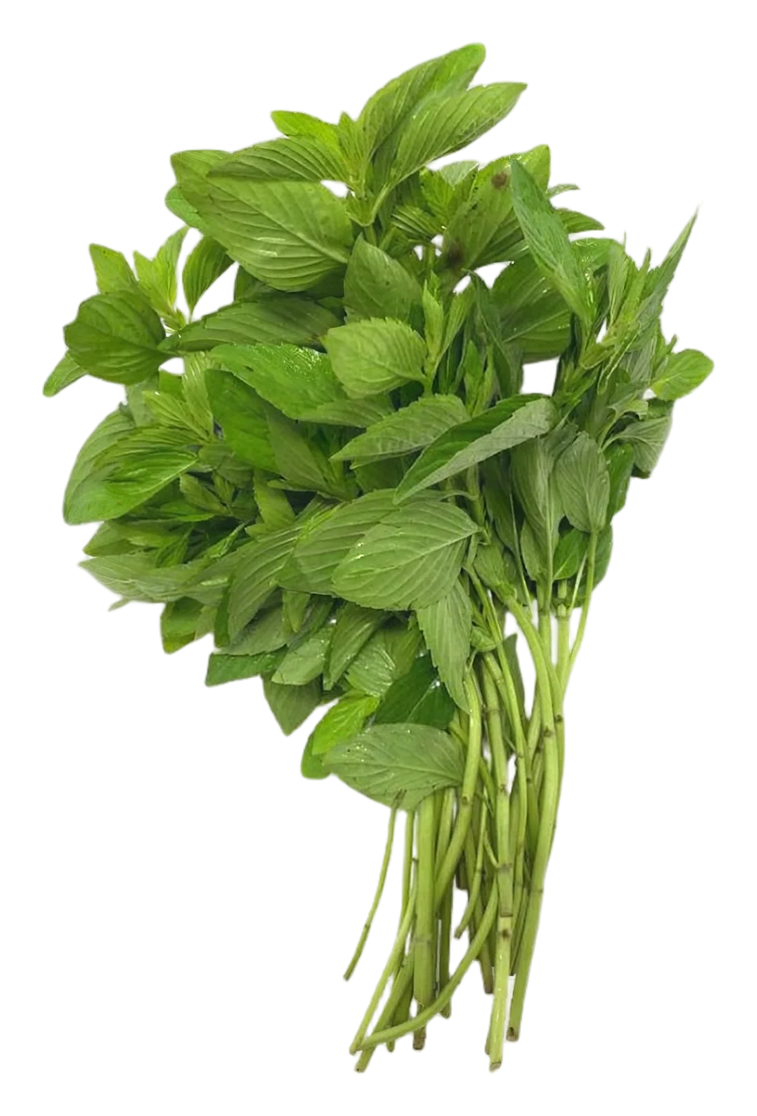 Herb mint 80g