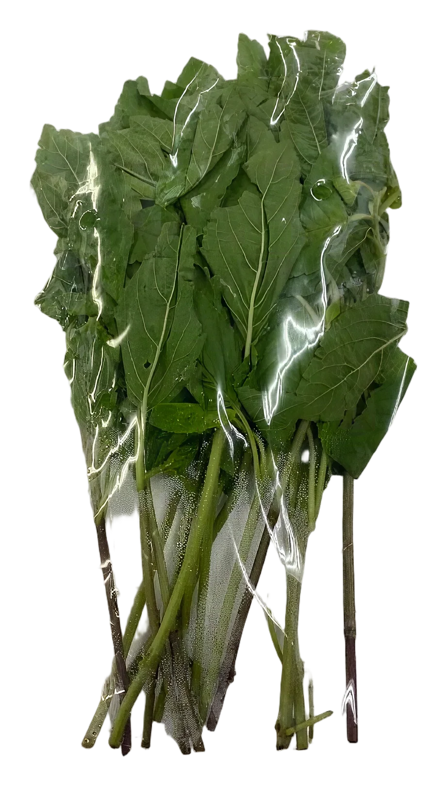 Holy basil 80g