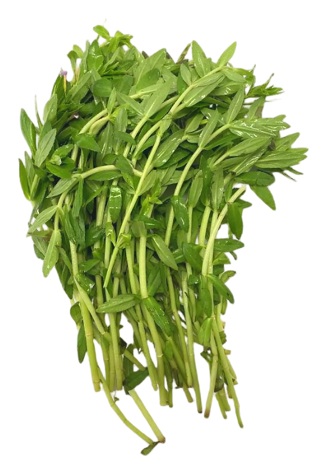 Ka-yang 80g
