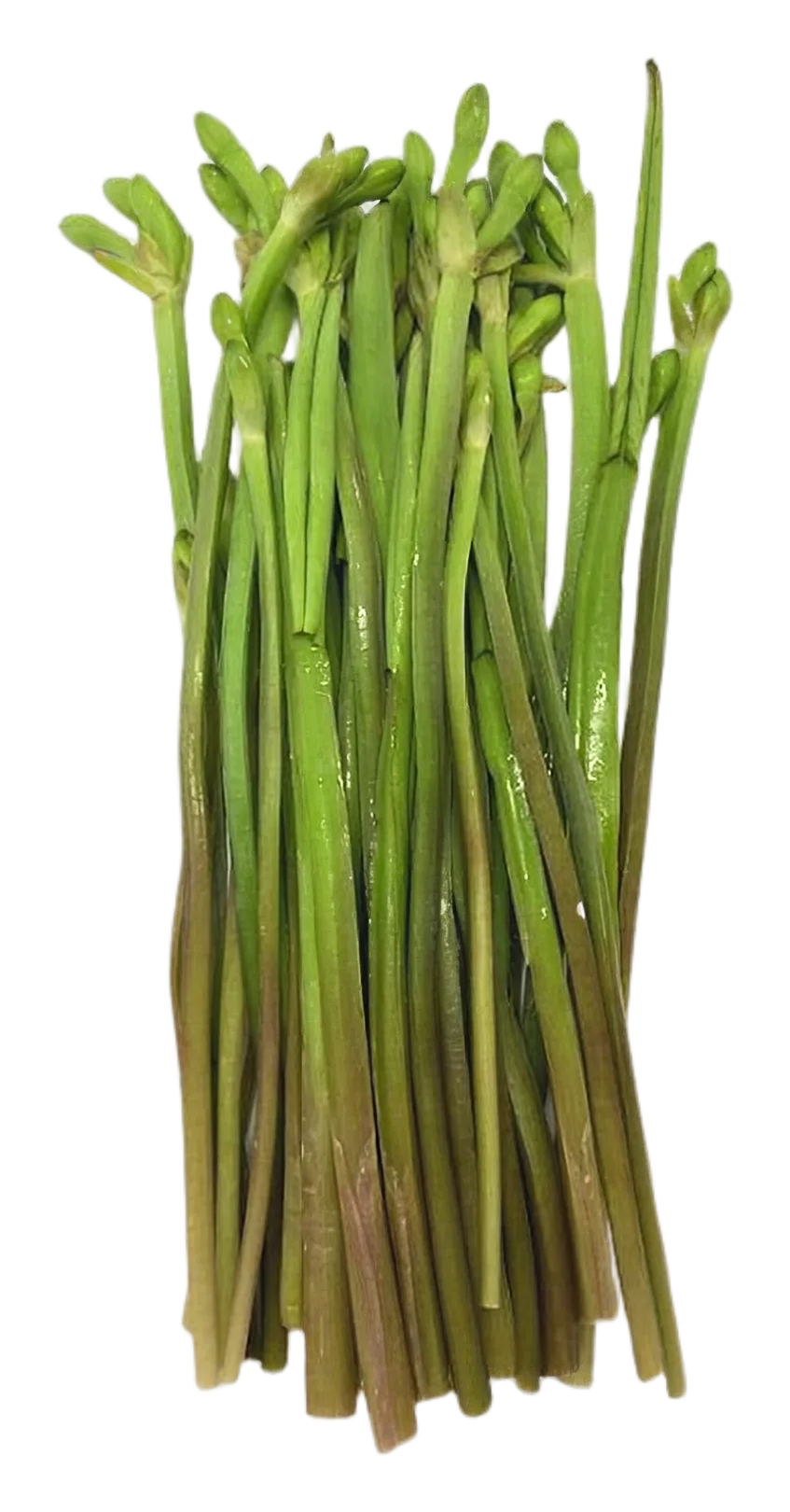 Kan jong 200g