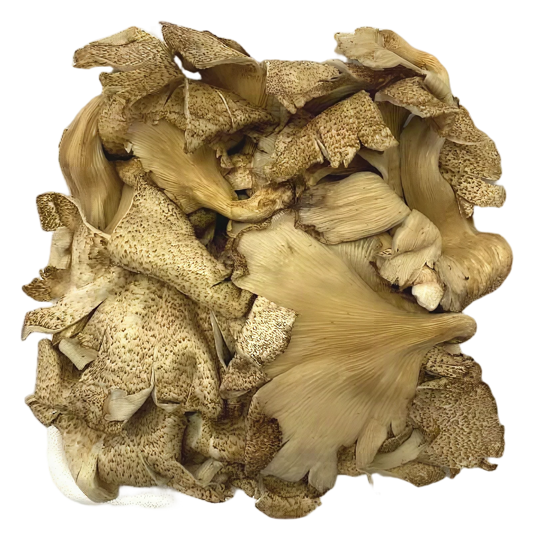 Kradang mushroom 200g