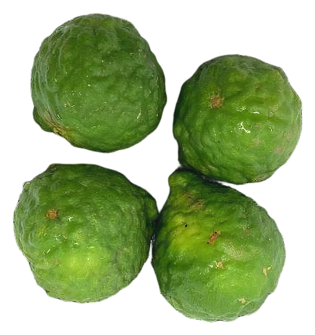 Leech lime 200g
