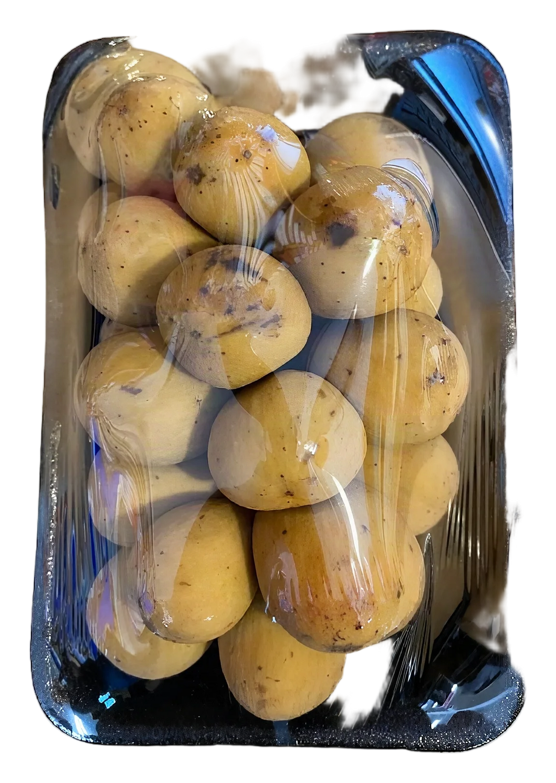 Long Kong 500G TH