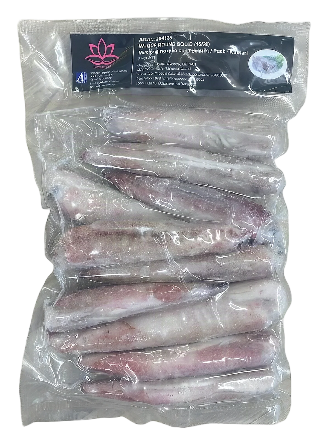LOTUS Whole round squid (L:15cm-20cm) 10x1kg VN