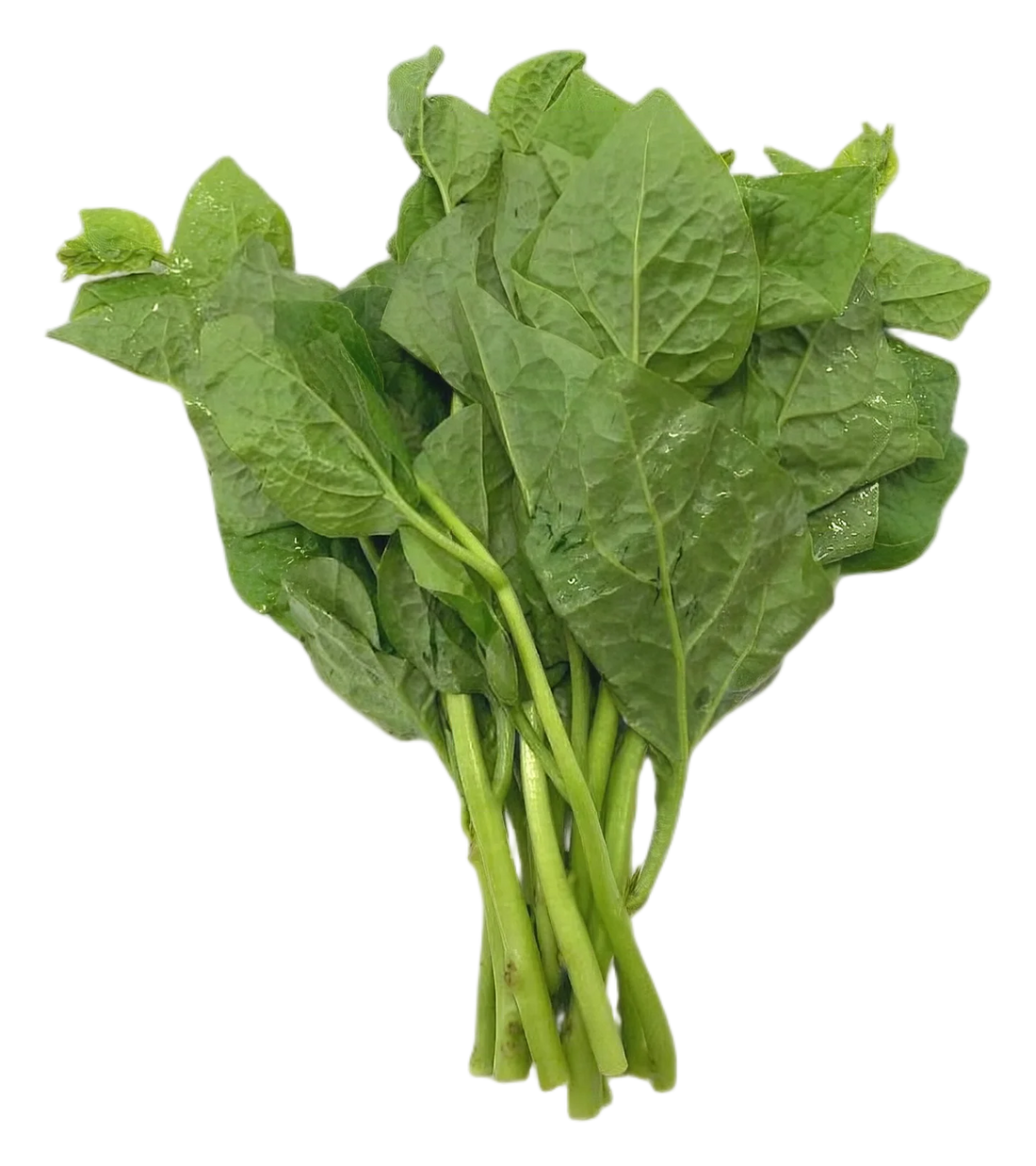Malabar nightsade (Thai)200g