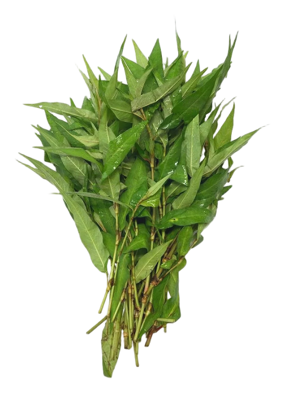 Pak prawe 80g