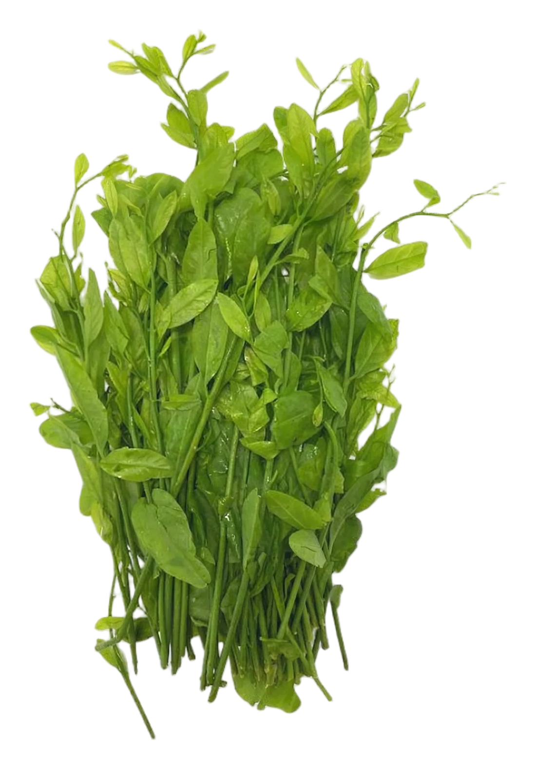 Pak wan 80g