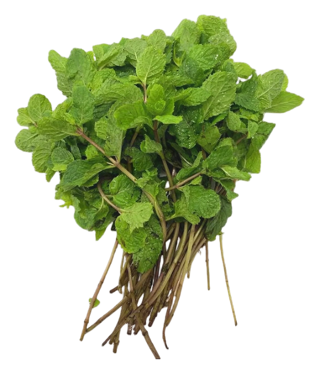 Peppermint 80g