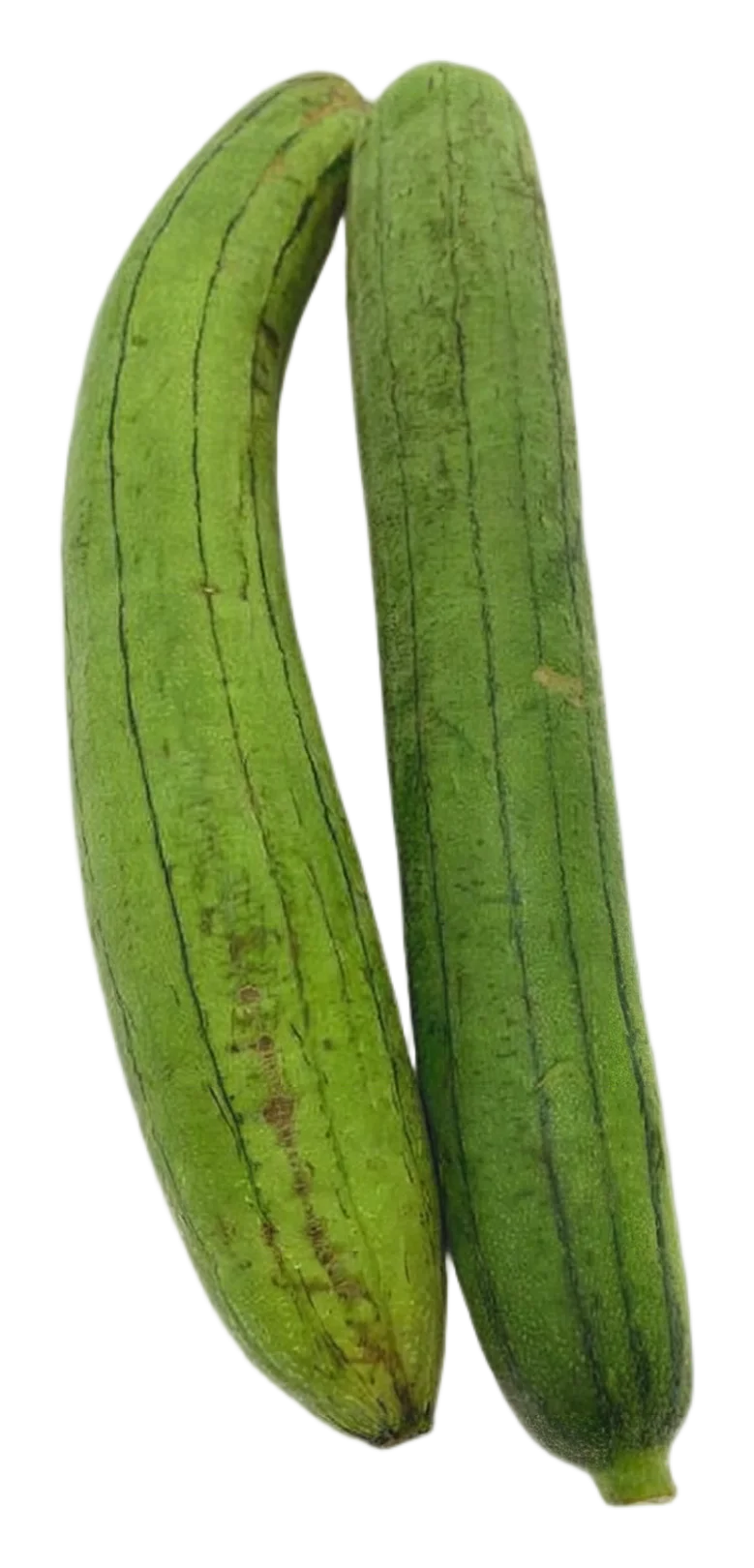 Sponge gourd