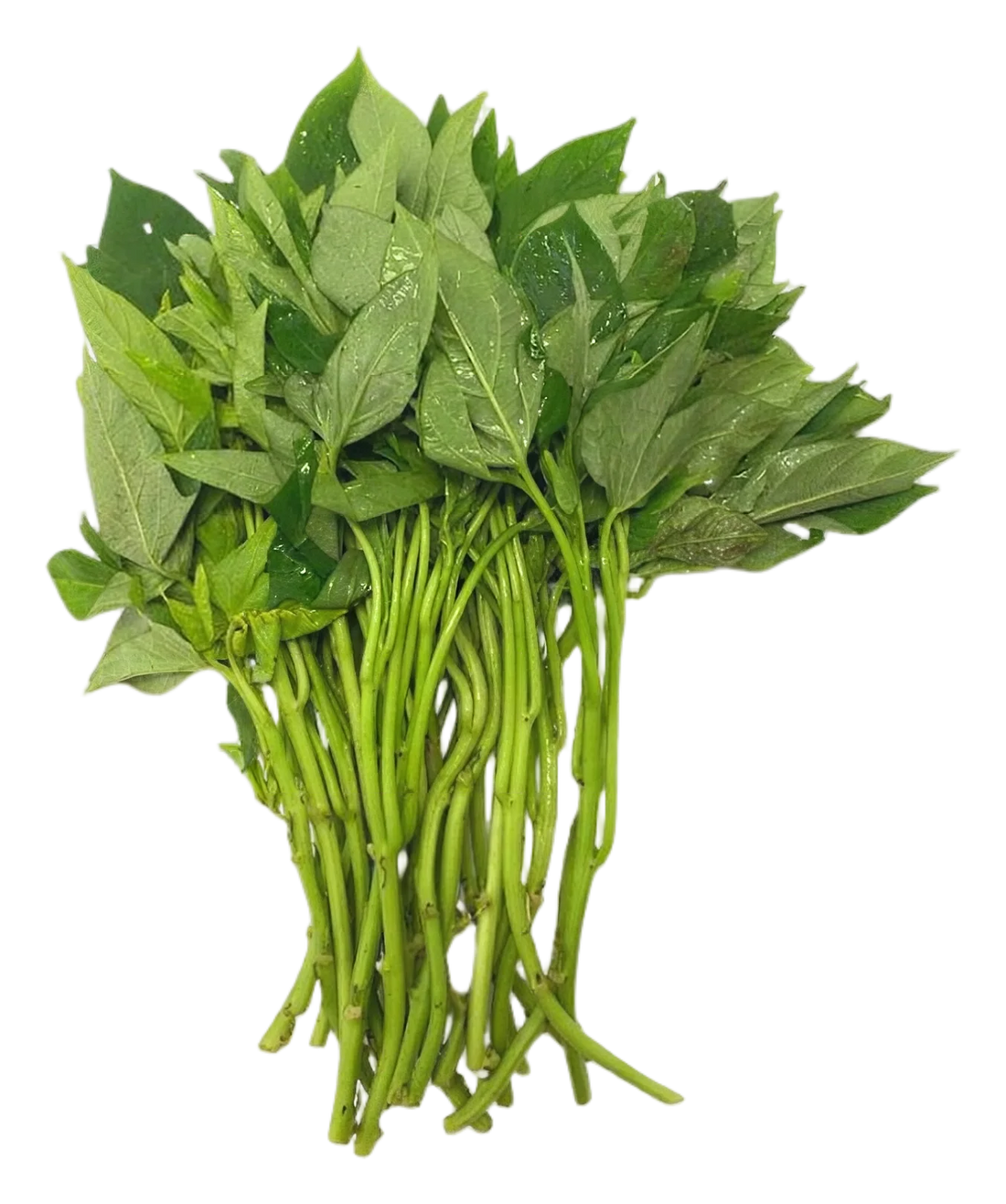 Sweet potato leaf 200g