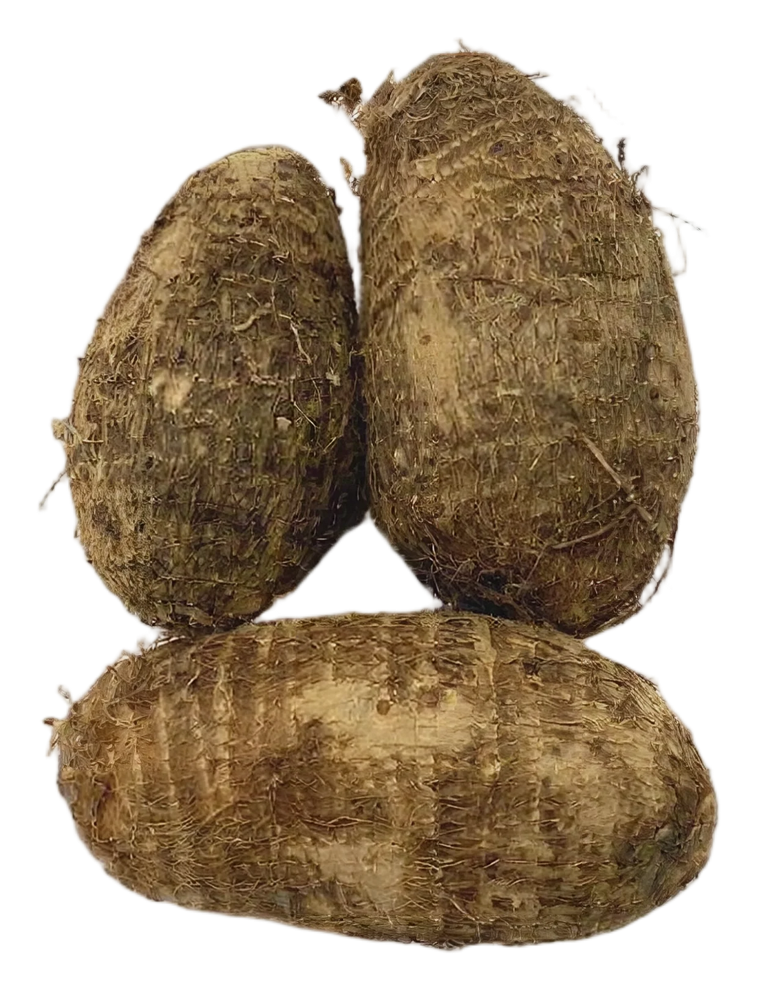 Taro big kg