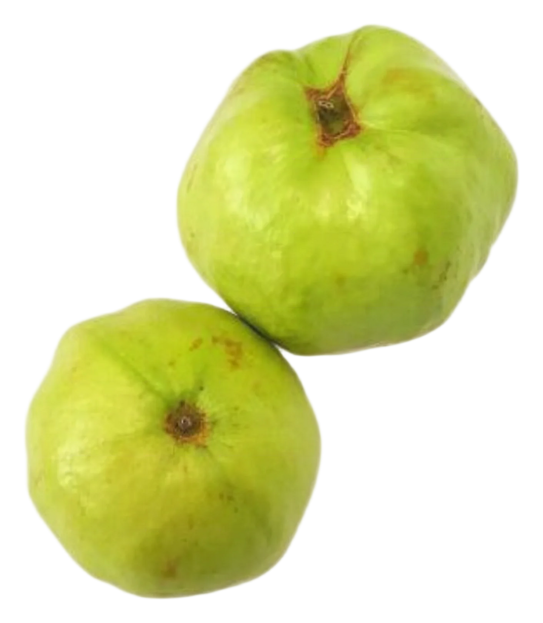 Guava kg