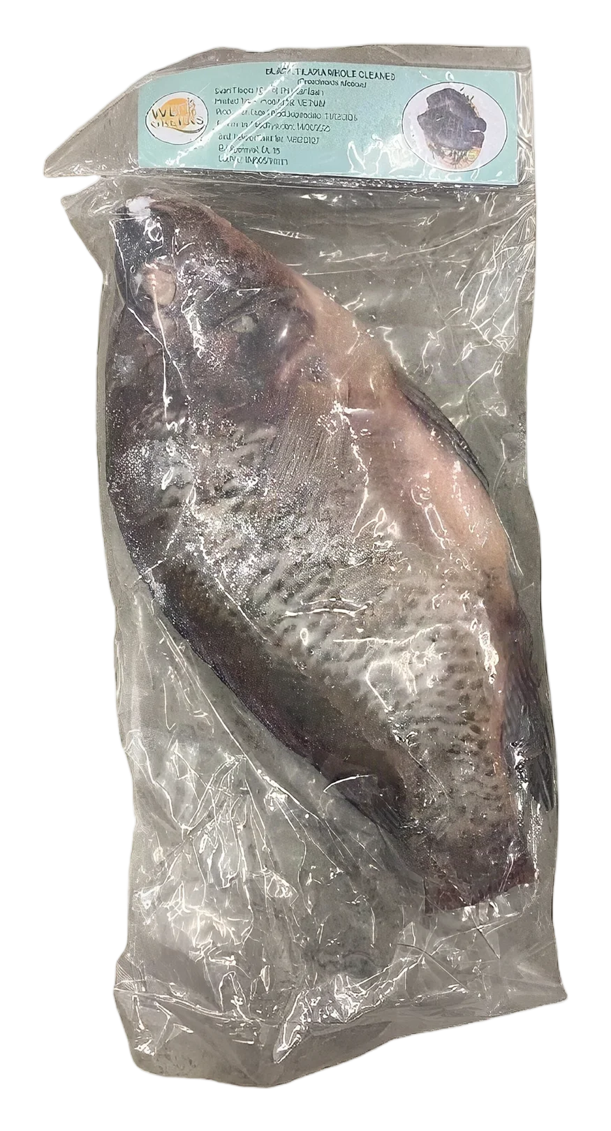 WeGreen Black Tilapia cleaned 800+ 10kg. VN
